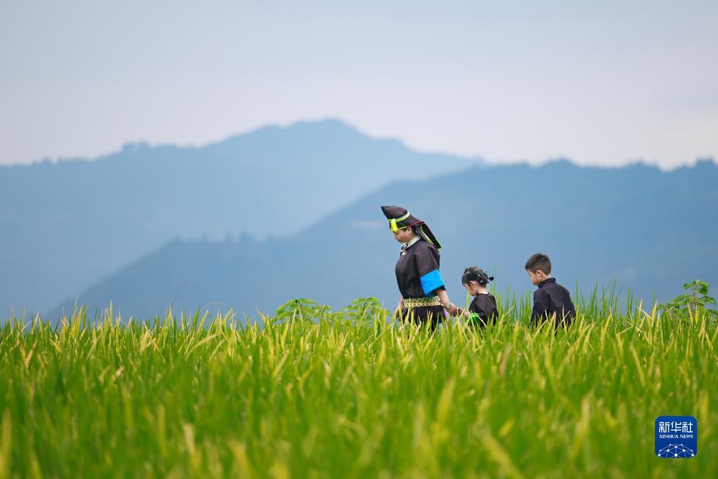 菲律宾新濠集团